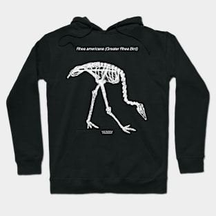 Rhea Americana (Greater Rhea Bird) Hoodie